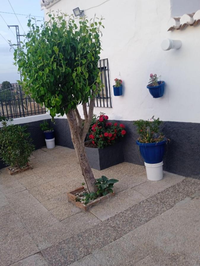 La Cueva De Guadix Exterior foto